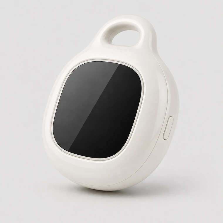 RODEUR chosen design